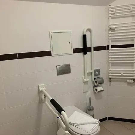 Parkhotel International 3* 普特布斯