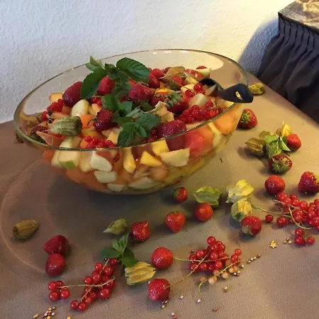 酒店 Parkhotel International 普特布斯